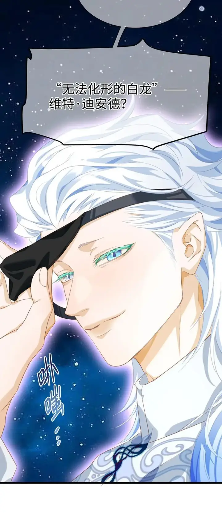 《我重生成为王子殿下的小恶龙》42 白龙的隐藏身份图34