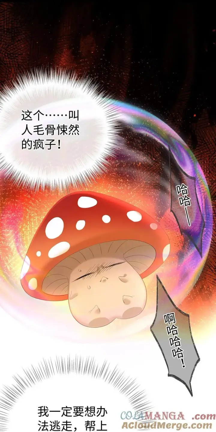 《我重生成为王子殿下的小恶龙》55 你到底是谁图25