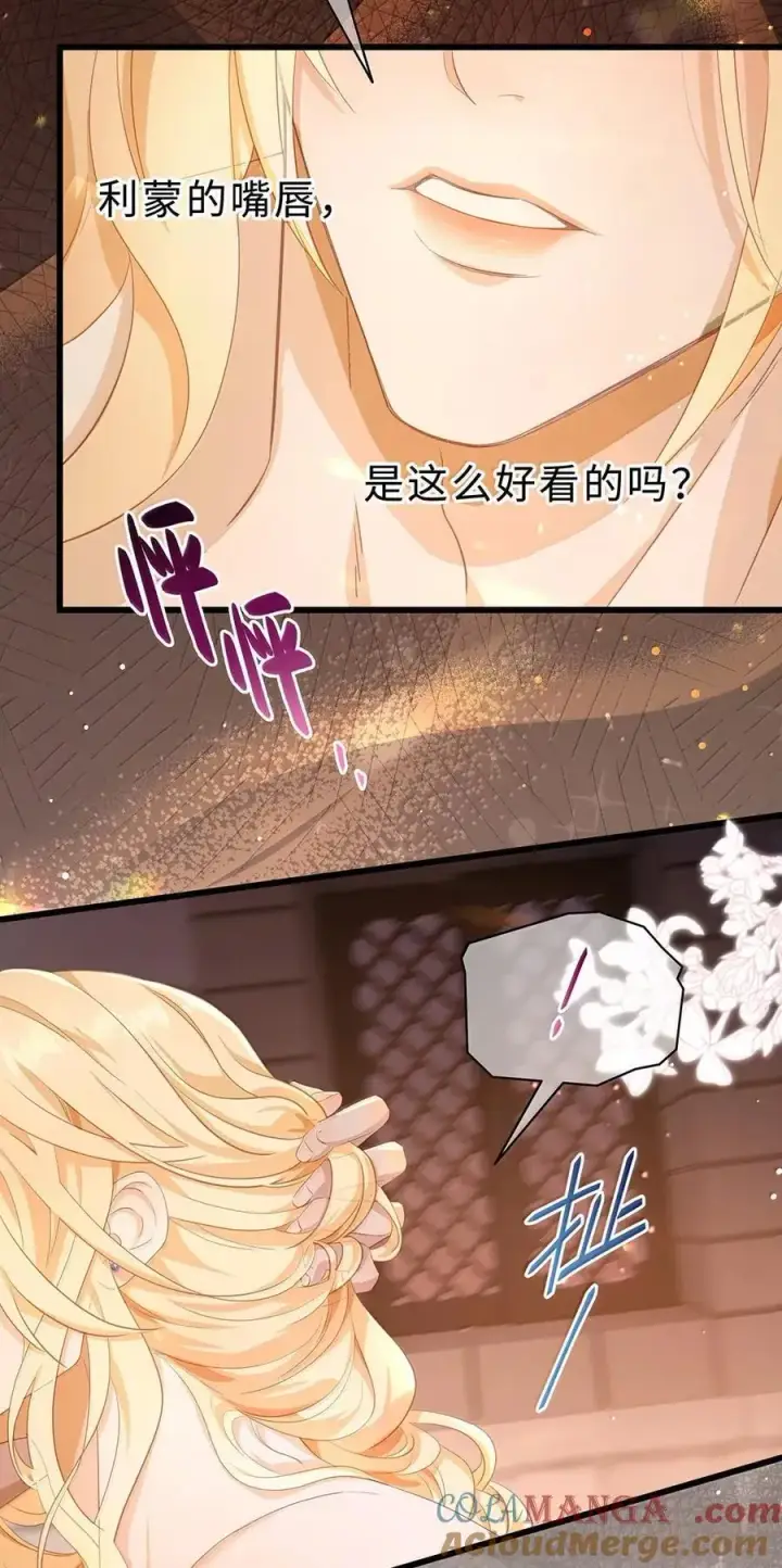 《我重生成为王子殿下的小恶龙》75 信息素纠缠图13