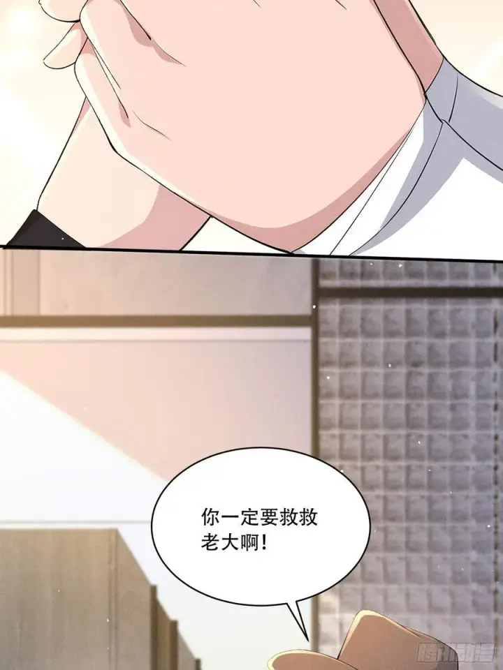 《我主宰了灵气复苏》112 幕后主使图27