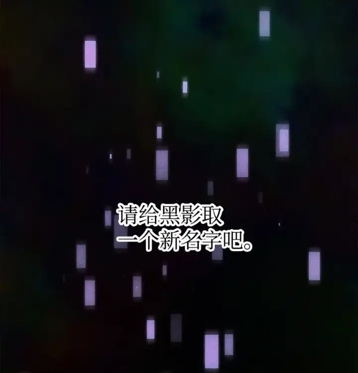 《无法升级的玩家》004 脱胎换骨图29