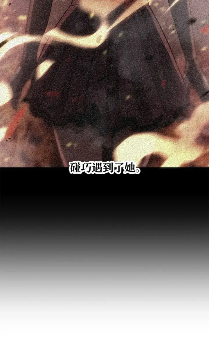 《无法升级的玩家》062 另一个世界图27