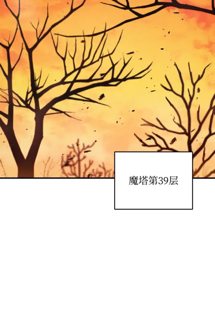 《无法升级的玩家》072 魔塔第40层图91