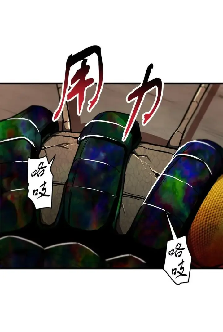 《无法升级的玩家》108 敌视图21