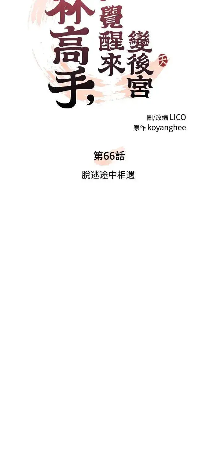 《武林高手转生后宫小主》第66话 脱逃途中相遇图17
