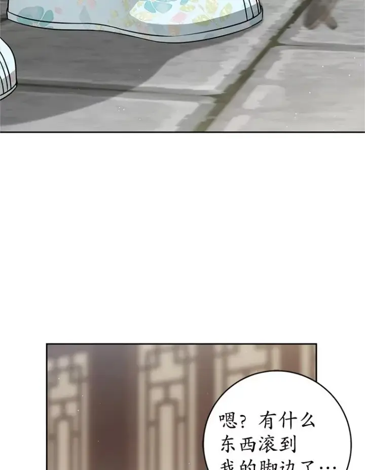 《武林世家的失宠小孙女》68.冲突图115