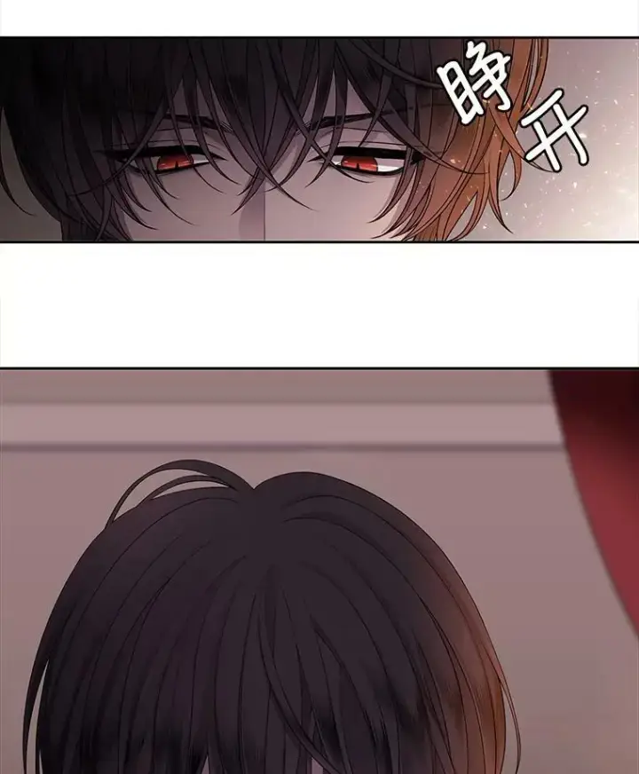 《夏洛特与五门徒》7.被隐藏的真相图54