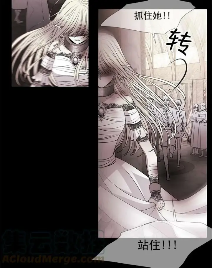 《夏洛特与五门徒》47.潘特姆森林的守护者图16