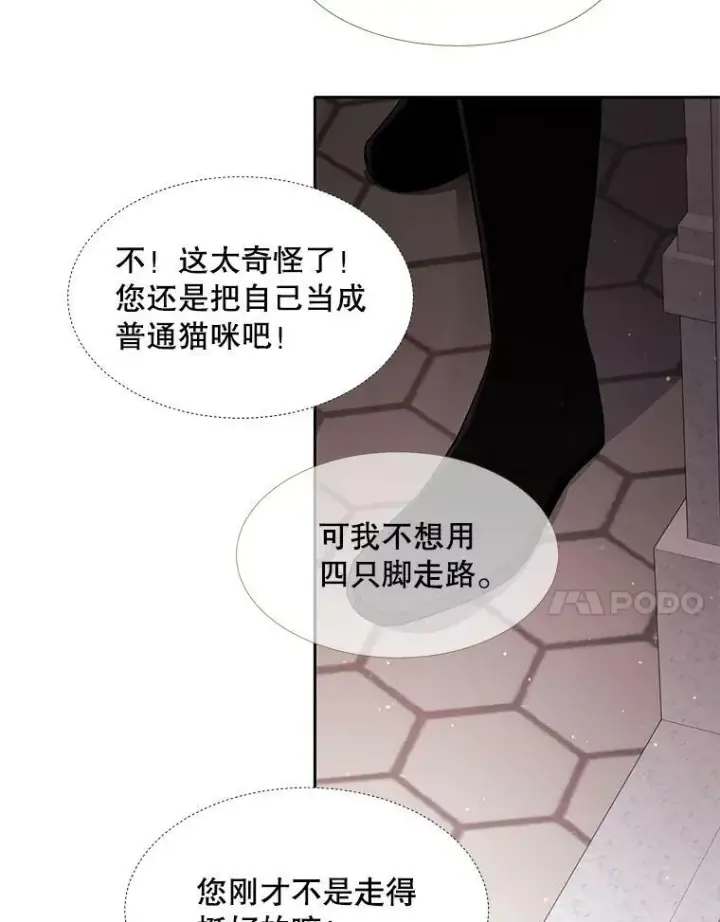 《夏洛特与五门徒》62.再见埃文图11