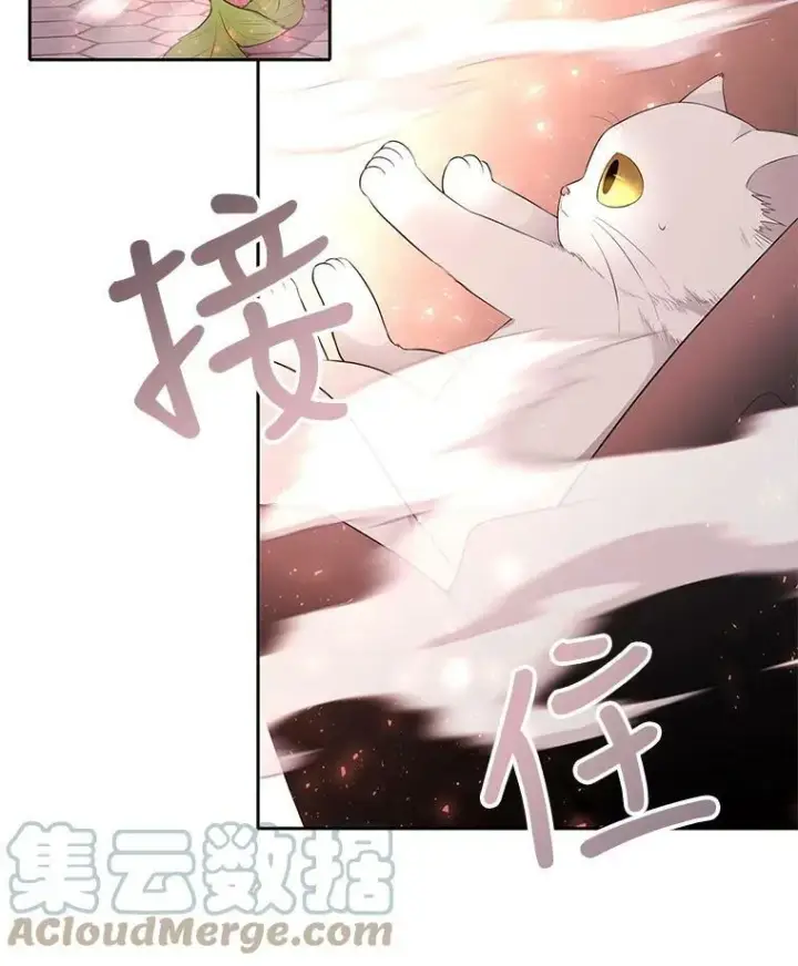 《夏洛特与五门徒》62.再见埃文图25