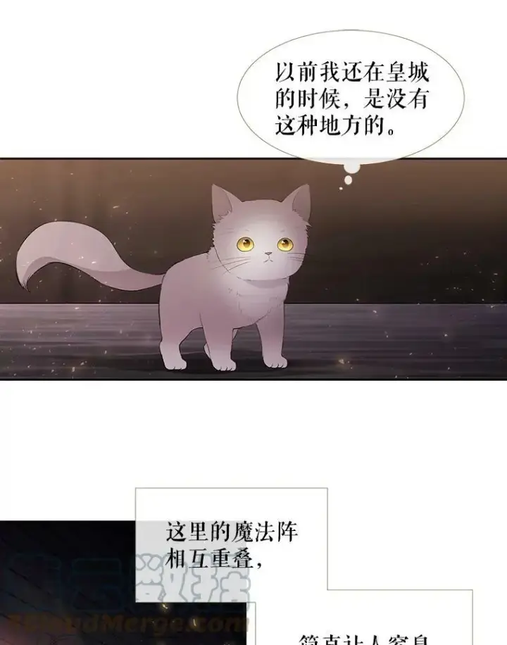 《夏洛特与五门徒》62.再见埃文图55