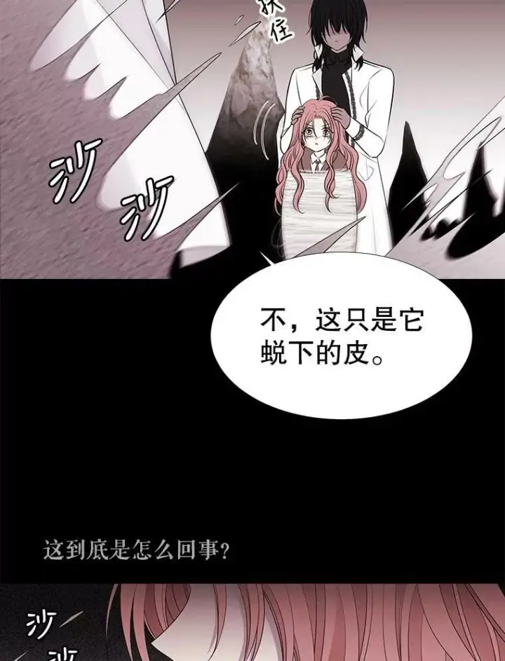 《夏洛特与五门徒》77.泰吉尔是善良的…图36