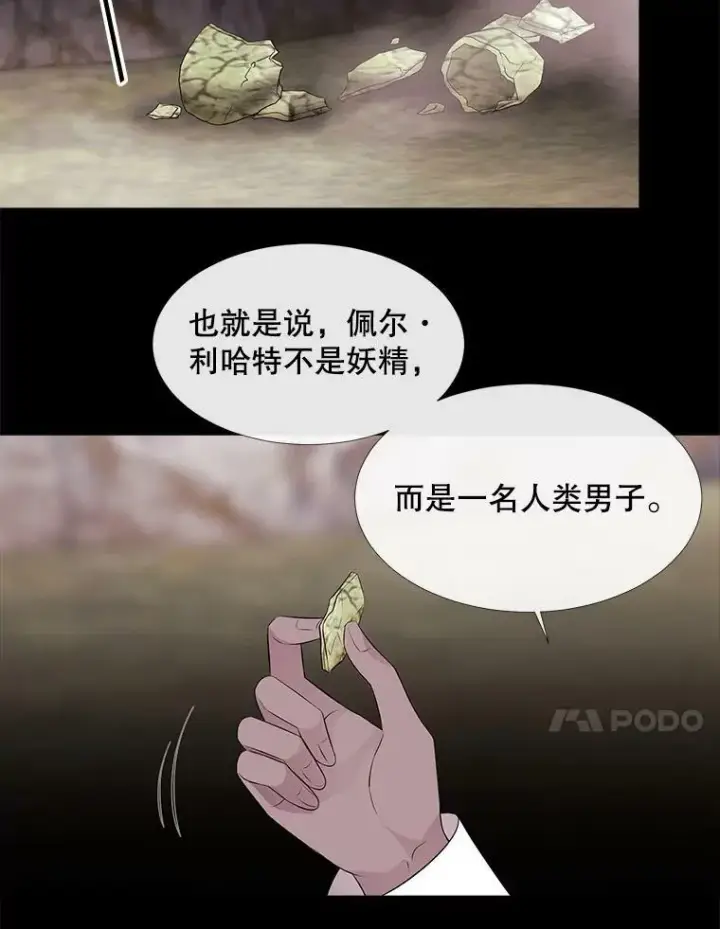 《夏洛特与五门徒》77.泰吉尔是善良的…图54