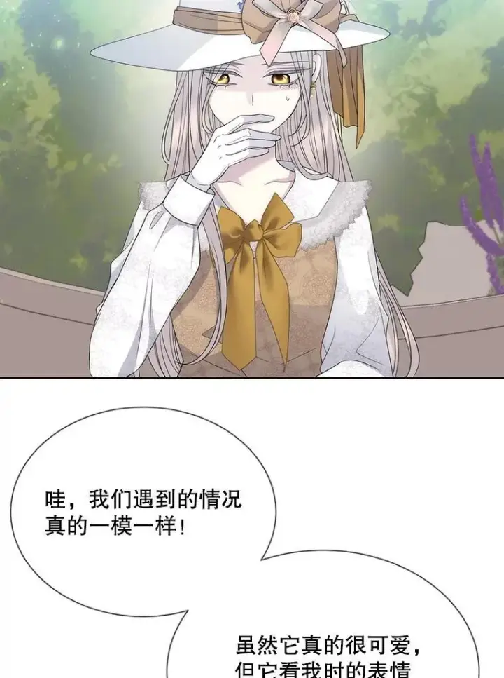 《夏洛特与五门徒》206.分离焦虑图66