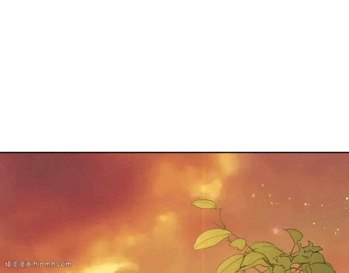 《橡树之下》第7话 麦茜，这是我的领地图208
