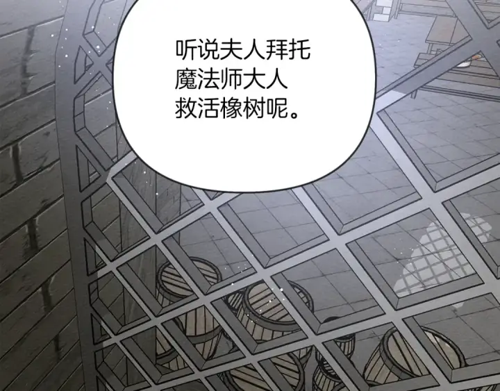 《橡树之下》第19话 坚定退单图6