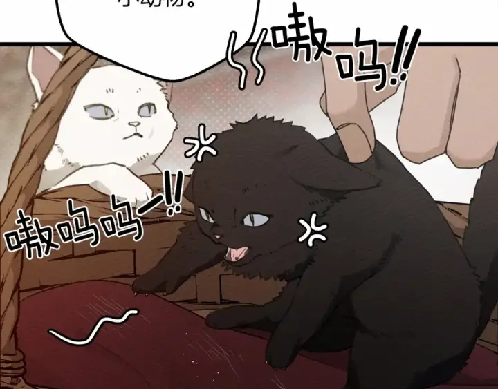 《橡树之下》第46话 捡小猫猫图166