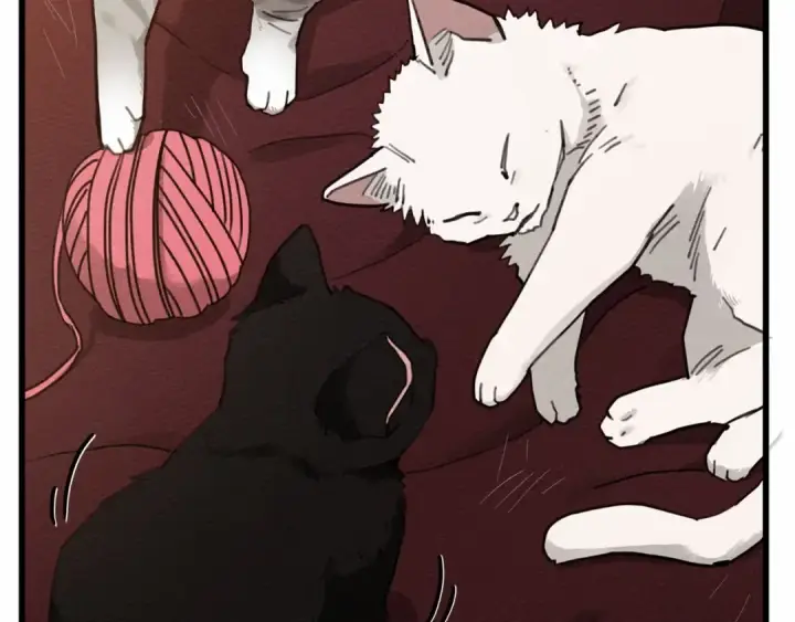 《橡树之下》第46话 捡小猫猫图173