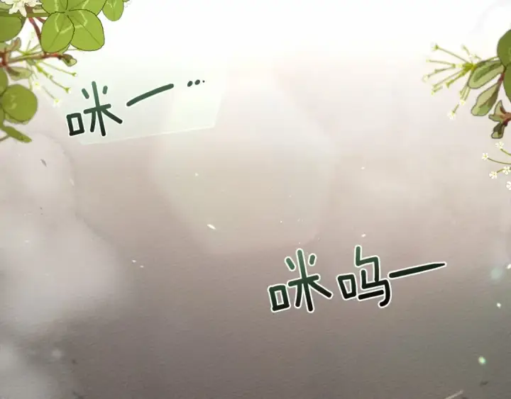 《橡树之下》第46话 捡小猫猫图63