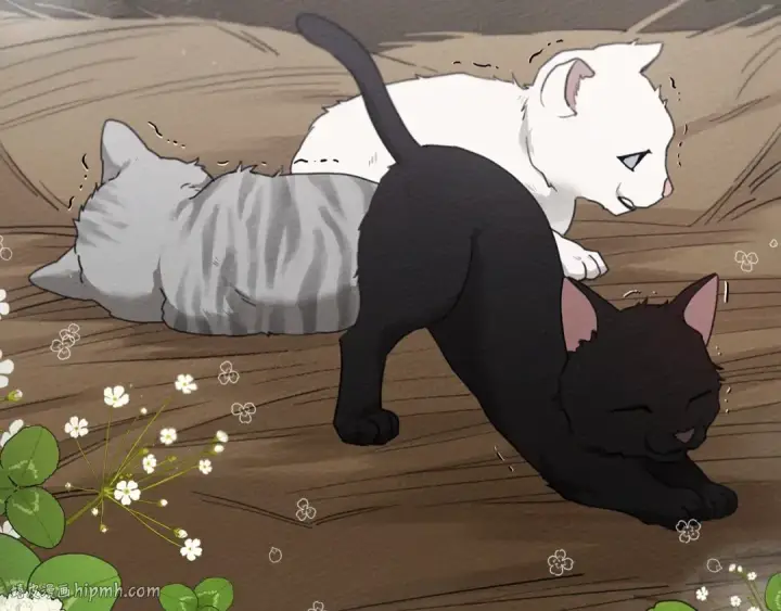 《橡树之下》第46话 捡小猫猫图64