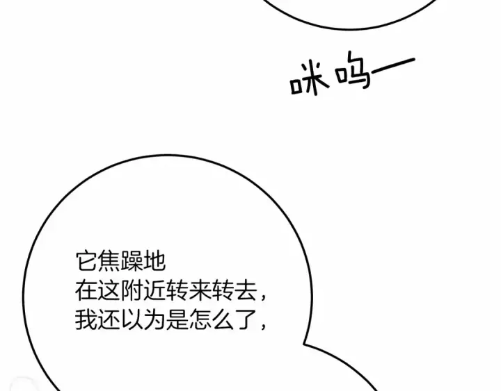《橡树之下》第46话 捡小猫猫图69