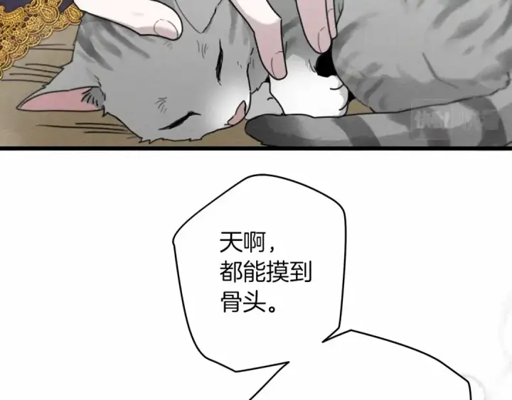 《橡树之下》第46话 捡小猫猫图74