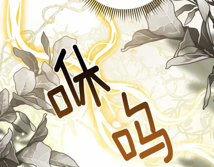 《橡树之下》第61话 惊艳众人图171