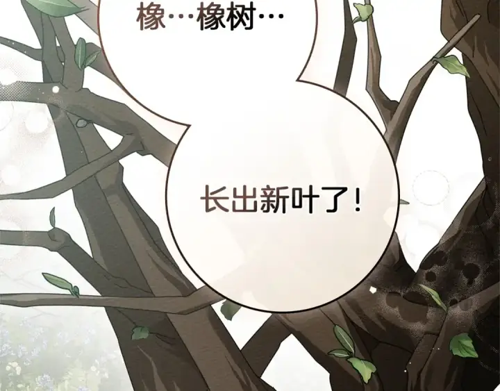 《橡树之下》第78话 我要让你成为最尊贵的淑女图83