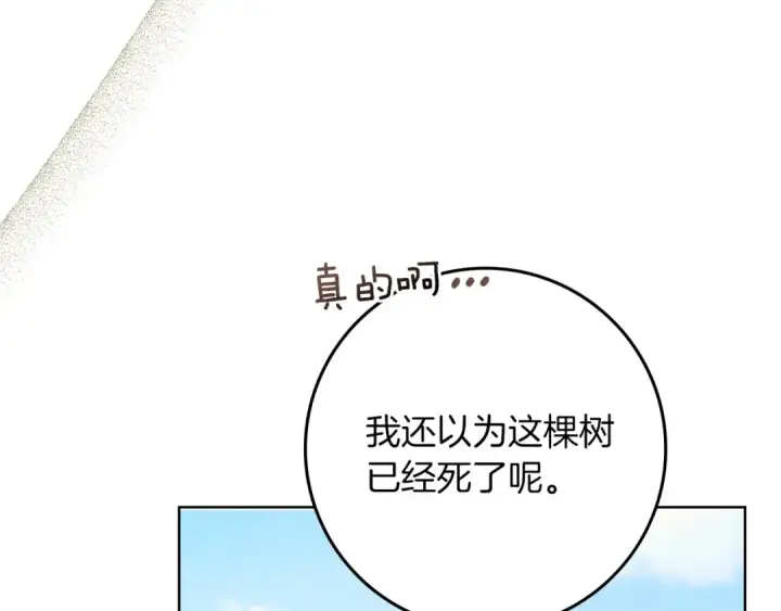 《橡树之下》第78话 我要让你成为最尊贵的淑女图87
