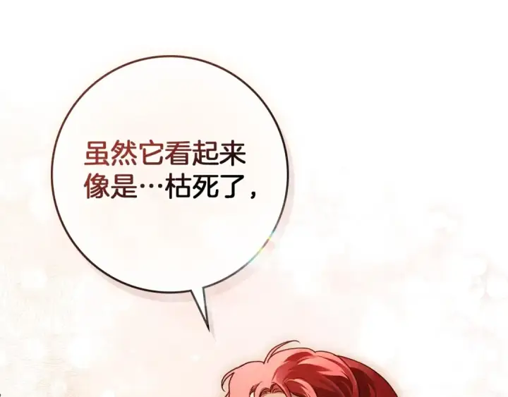 《橡树之下》第78话 我要让你成为最尊贵的淑女图91