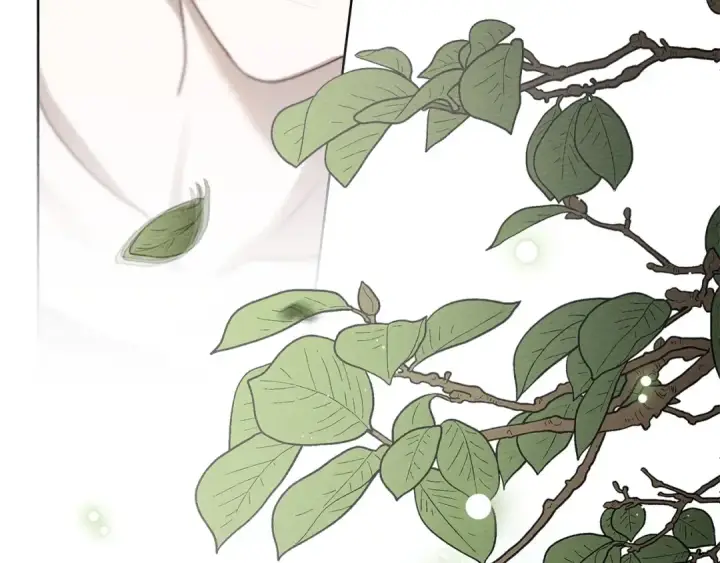 《橡树之下》第三季完结话 我的妻子在干什么？图227