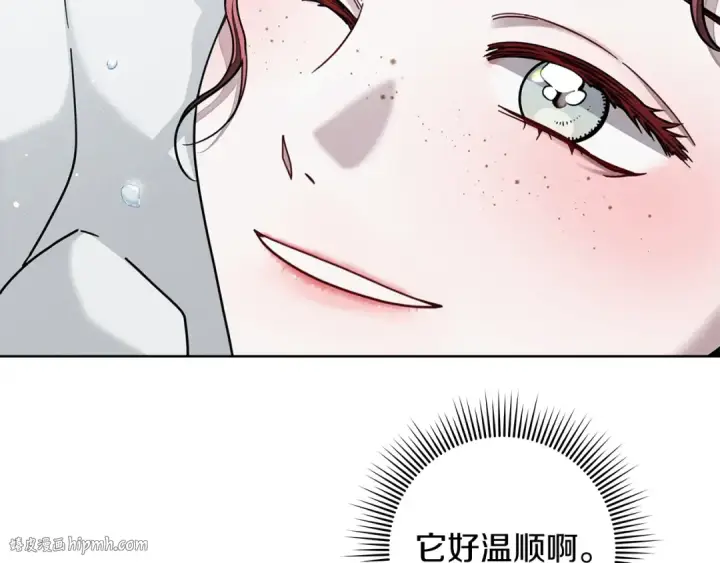《橡树之下》第102话 神秘白马图144