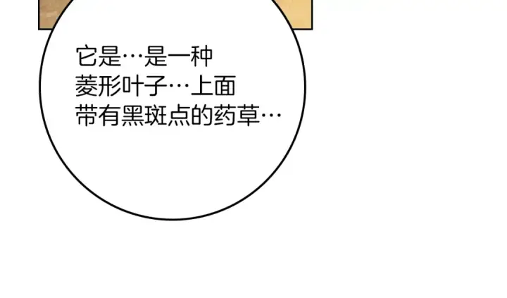《橡树之下》第117话 止疫良方图12