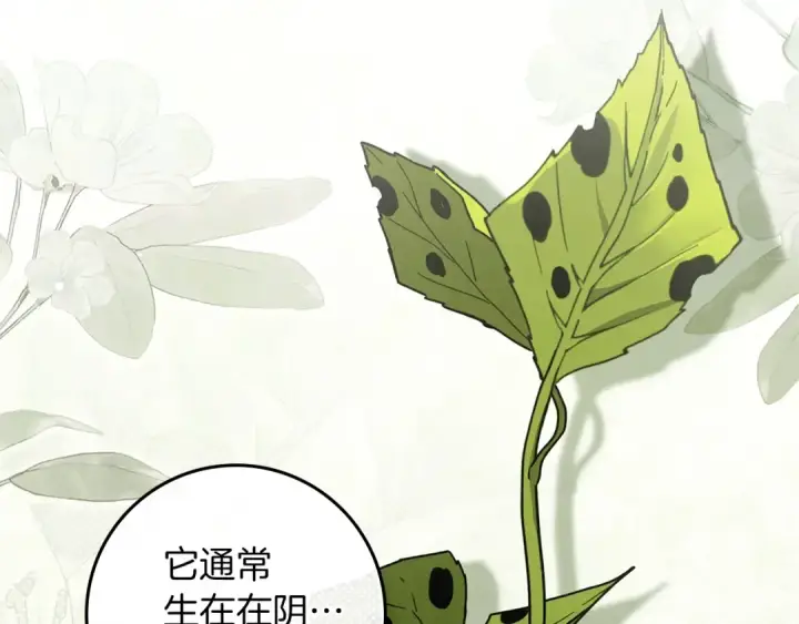 《橡树之下》第117话 止疫良方图14