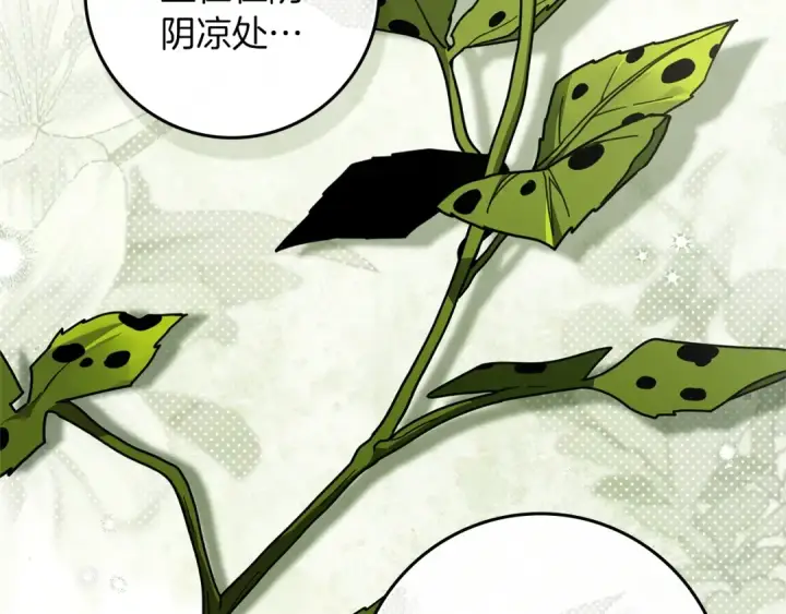 《橡树之下》第117话 止疫良方图15