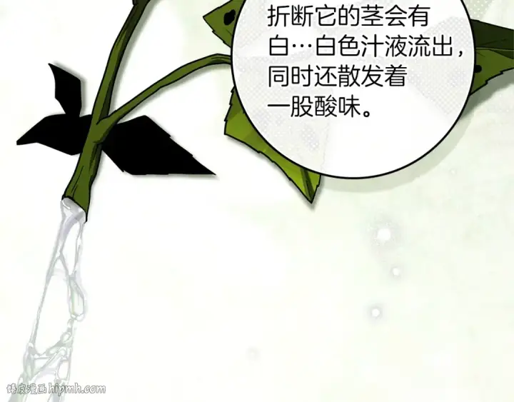《橡树之下》第117话 止疫良方图16