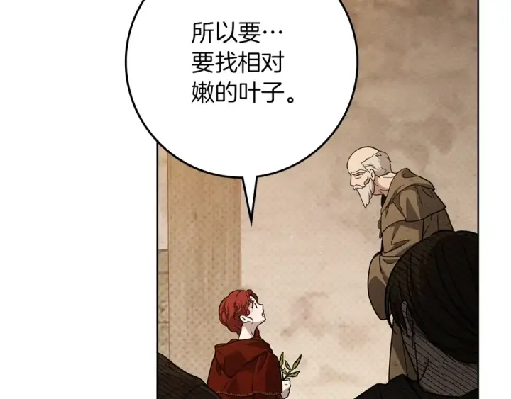 《橡树之下》第117话 止疫良方图22