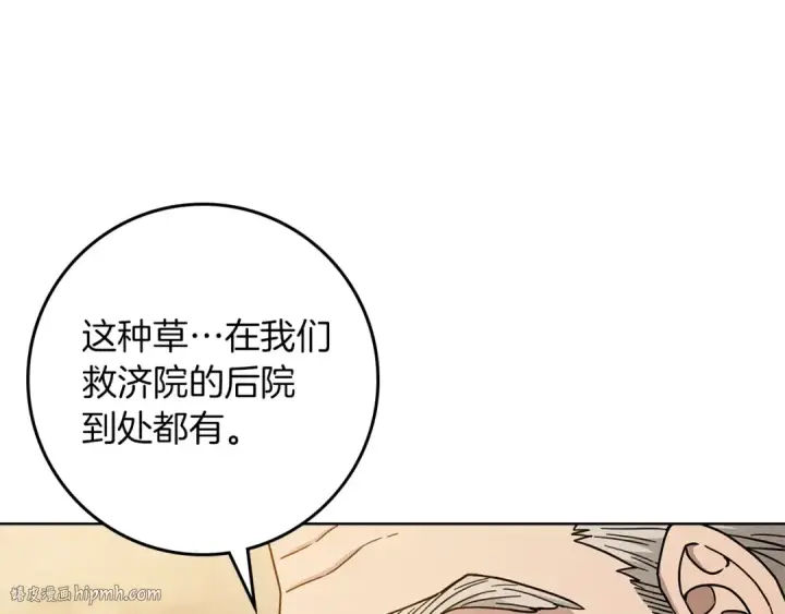 《橡树之下》第117话 止疫良方图24