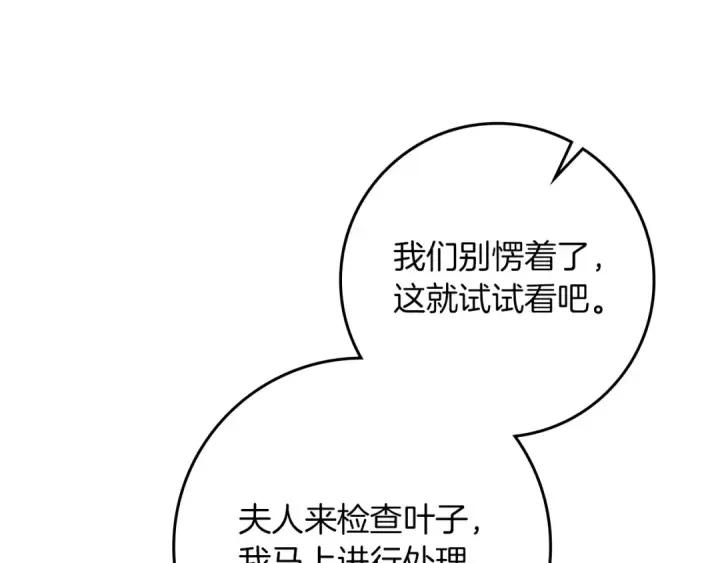 《橡树之下》第117话 止疫良方图33