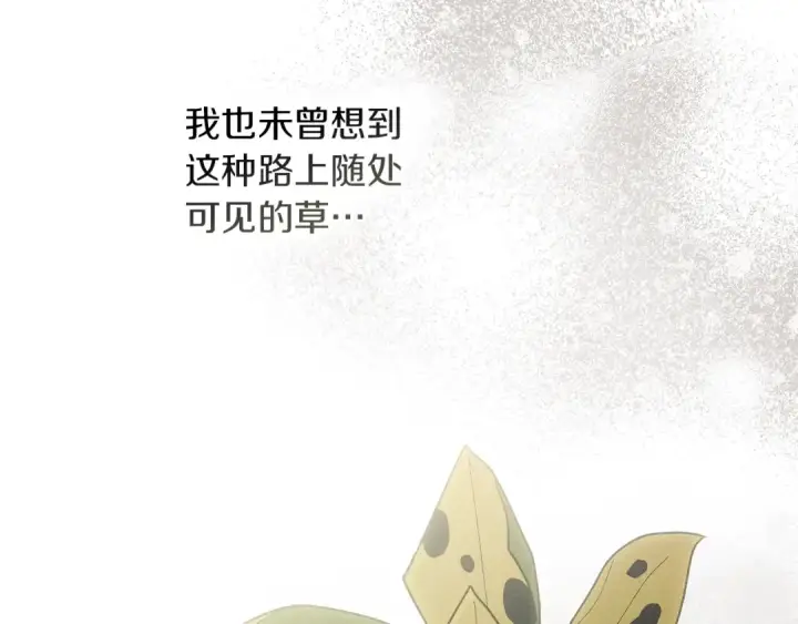 《橡树之下》第117话 止疫良方图44
