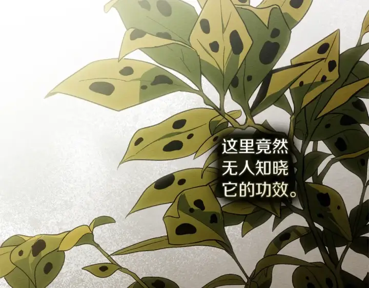 《橡树之下》第117话 止疫良方图45