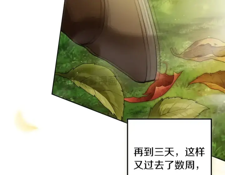 《橡树之下》第133话 不用送行图202
