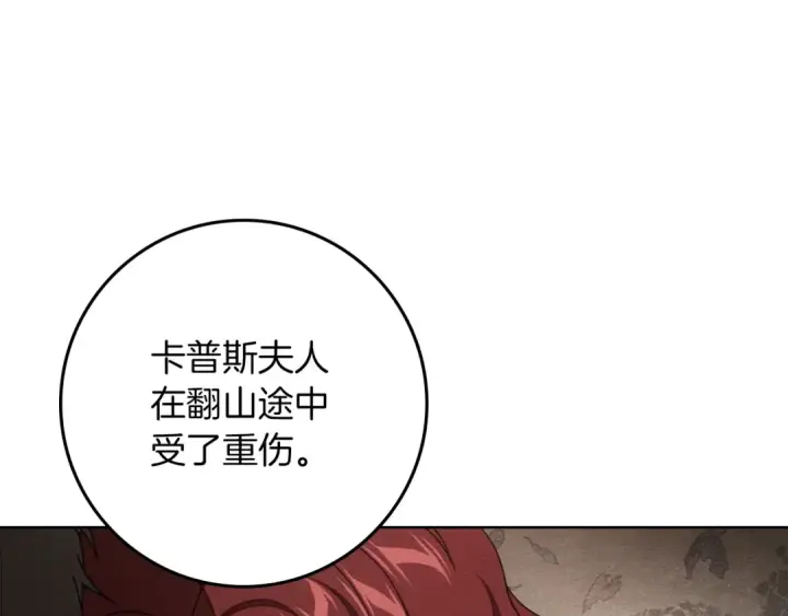 《橡树之下》第138话 夫人重伤被救图149