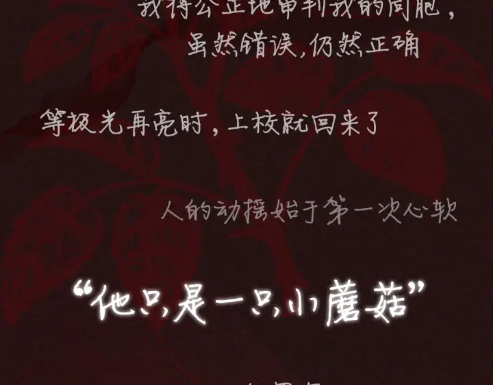 《小蘑菇》预热 敬请期待图2