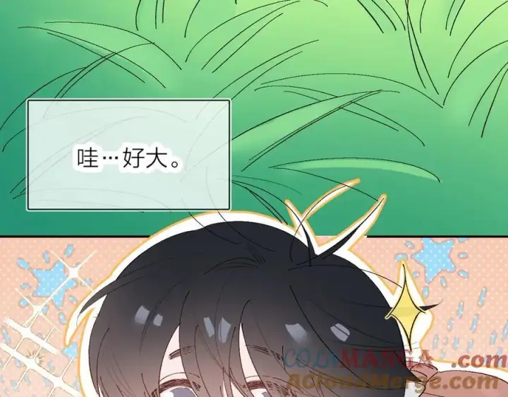 《小蘑菇》好消息！月3更改周更通知图27