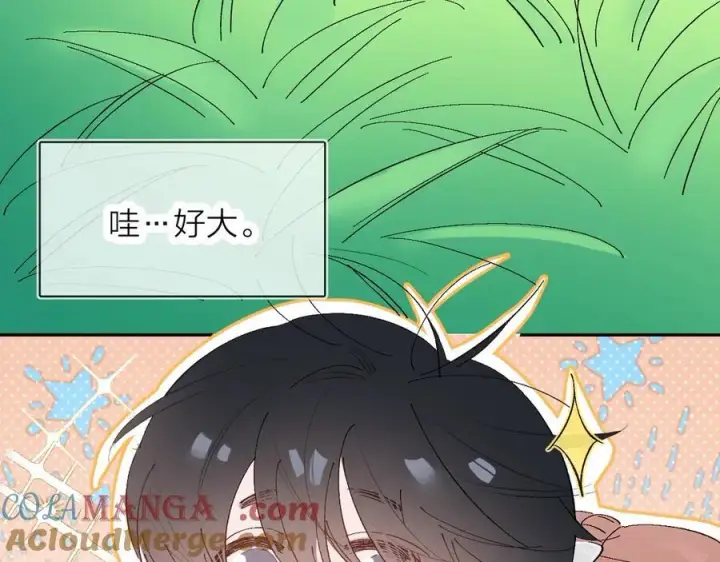 《小蘑菇》小番外 好大🍄图25