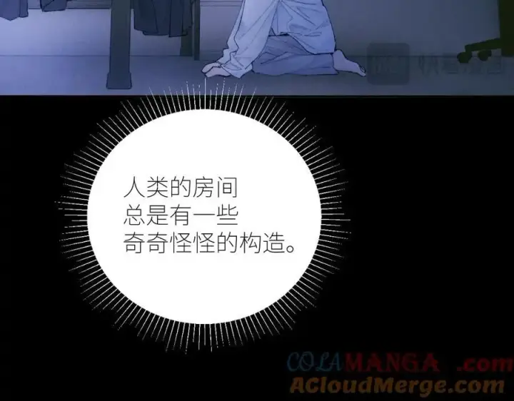 《小蘑菇》第56话 受害人图69