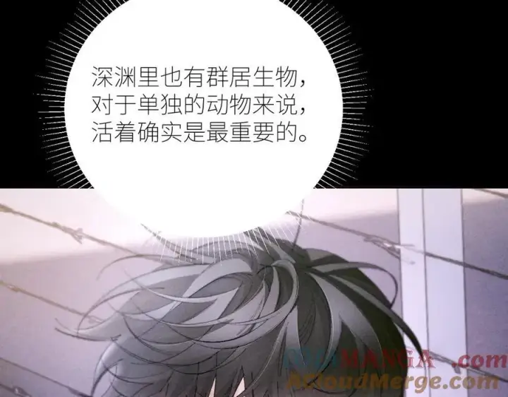 《小蘑菇》第57话 蜂巢图81