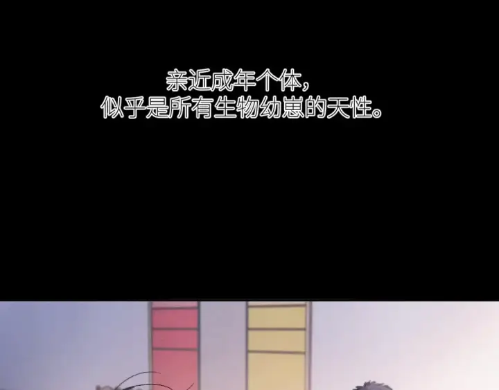 《小蘑菇》第49话 像极光图63