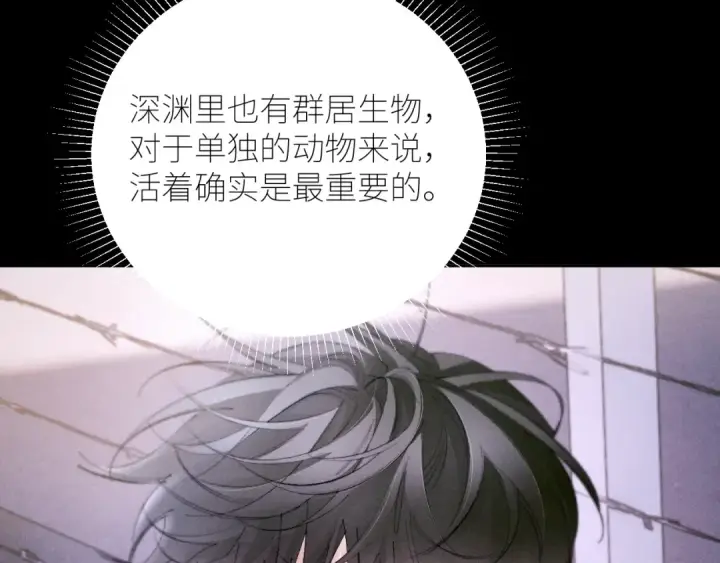 《小蘑菇》第57话 蜂巢图81
